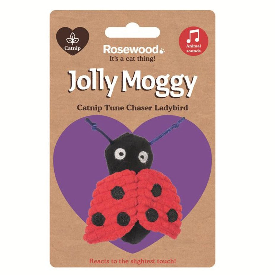 JOLLY MOGGY CATNIP TUNE CHASER LADYBIRD