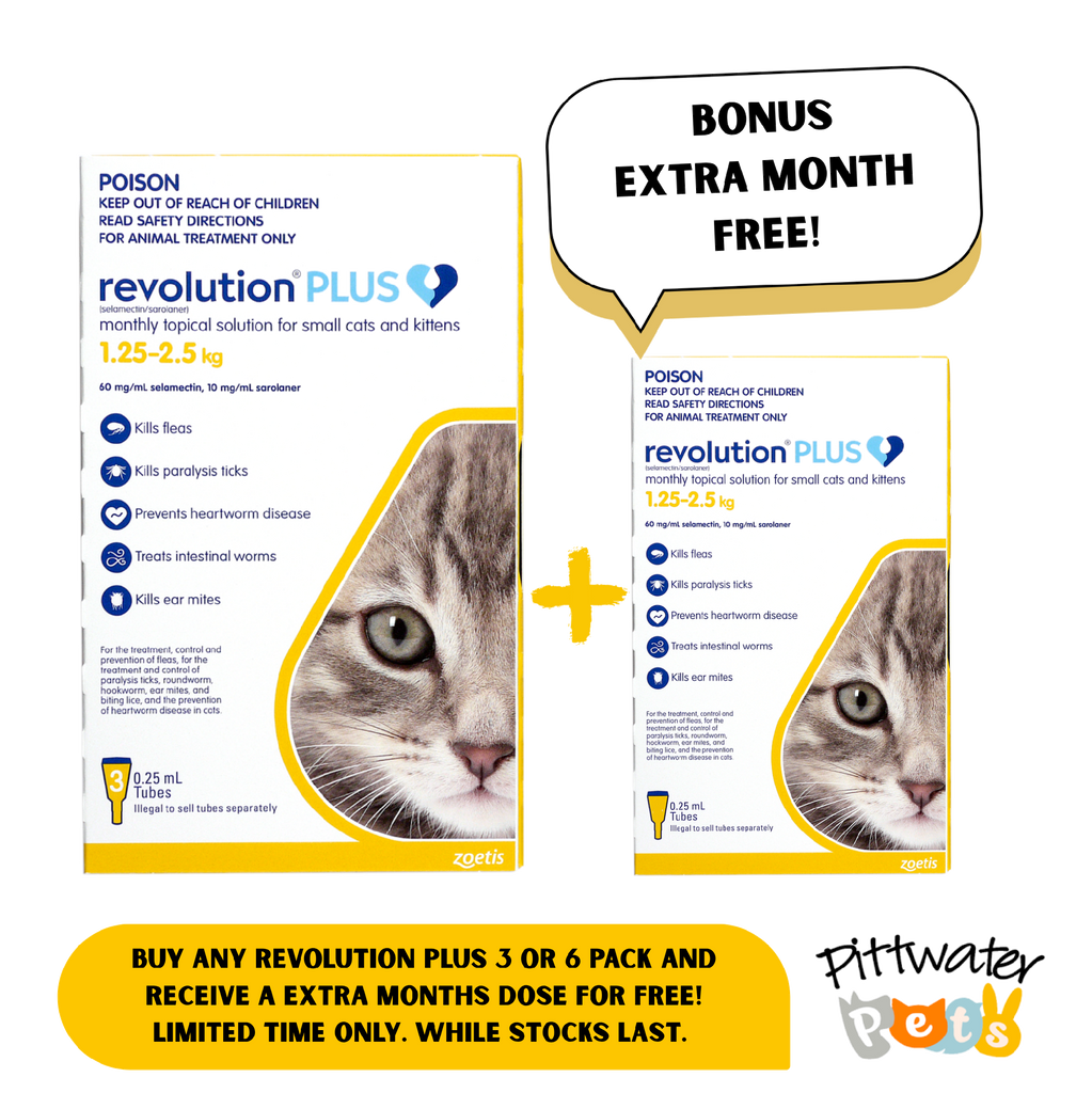 REVOLUTION PLUS CAT 1.25-2.5KG YELLOW 3PK