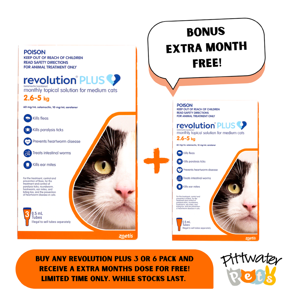 REVOLUTION PLUS CAT 2.5-5KG ORANGE [PKS:3]