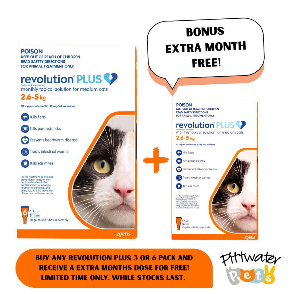 REVOLUTION PLUS CAT 2.5-5KG ORANGE [PKS:6]