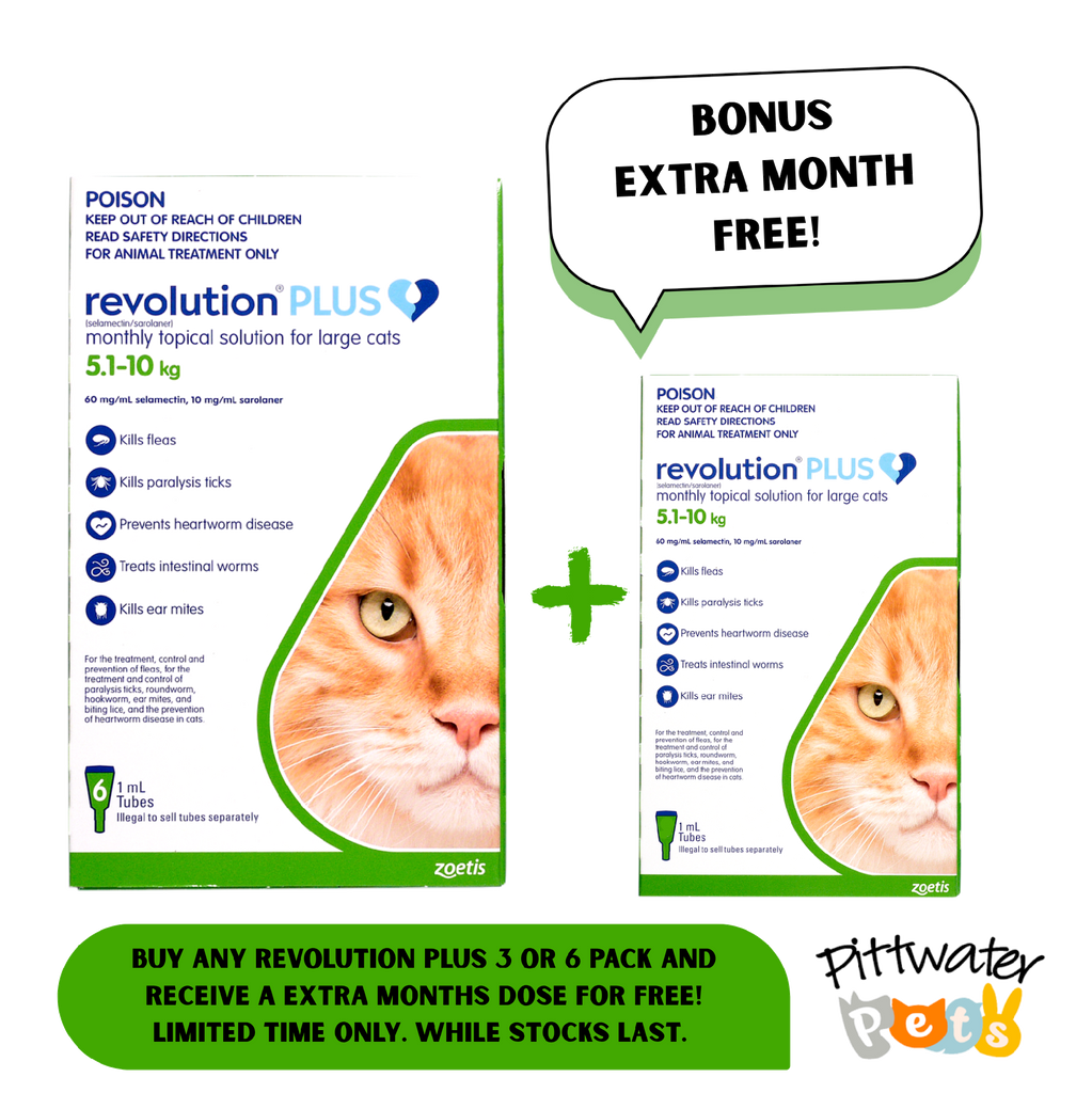REVOLUTION PLUS CAT 5.1-10KG GREEN [PKS:6]