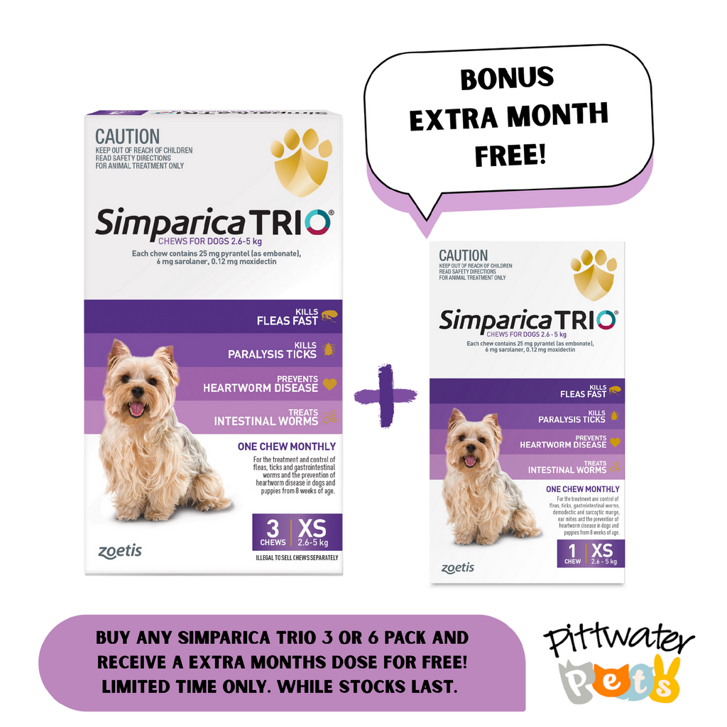 SIMPARICA TRIO 2.6-5KG (PURPLE) 3PK
