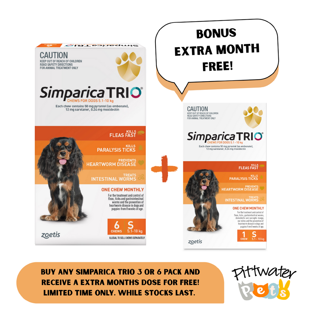 SIMPARICA TRIO 5.1-10KG (ORANGE) [PKS:6]