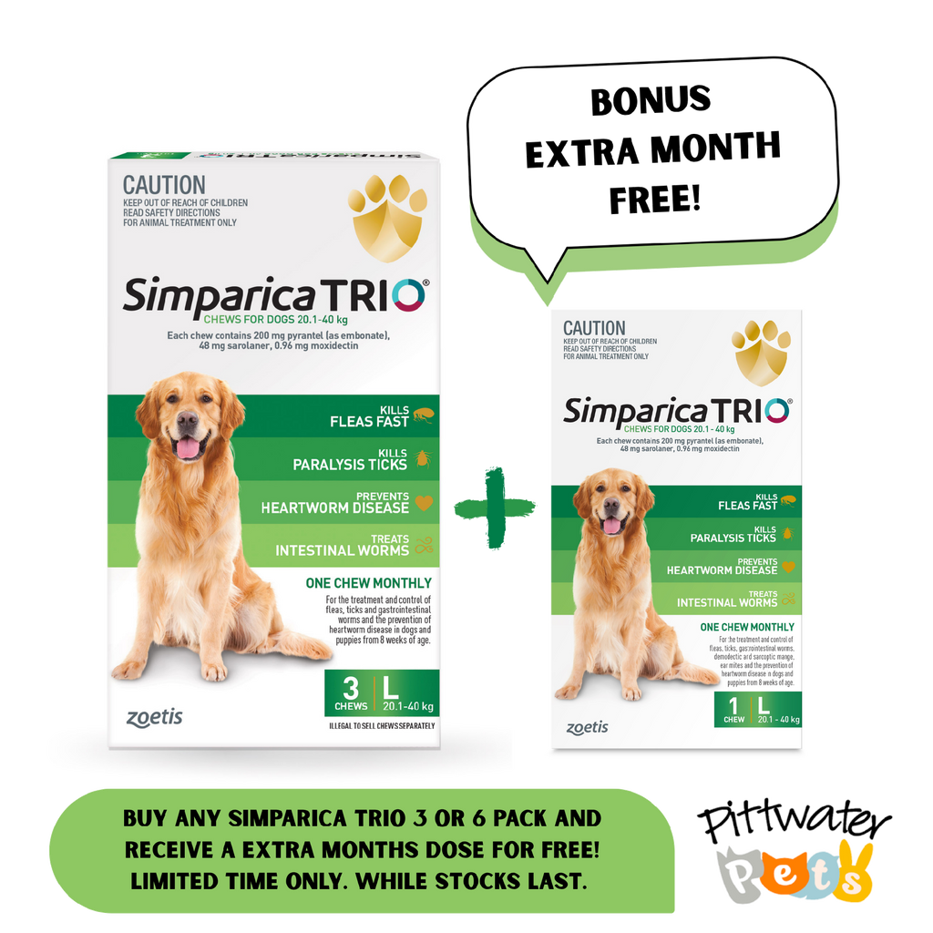 SIMPARICA TRIO 20.1-40KG (GREEN) [PKS:3]
