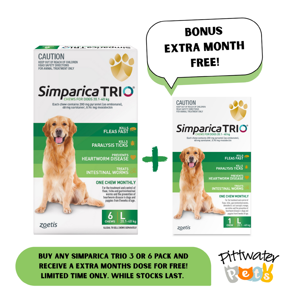 SIMPARICA TRIO 20.1-40KG (GREEN) [PKS:6]
