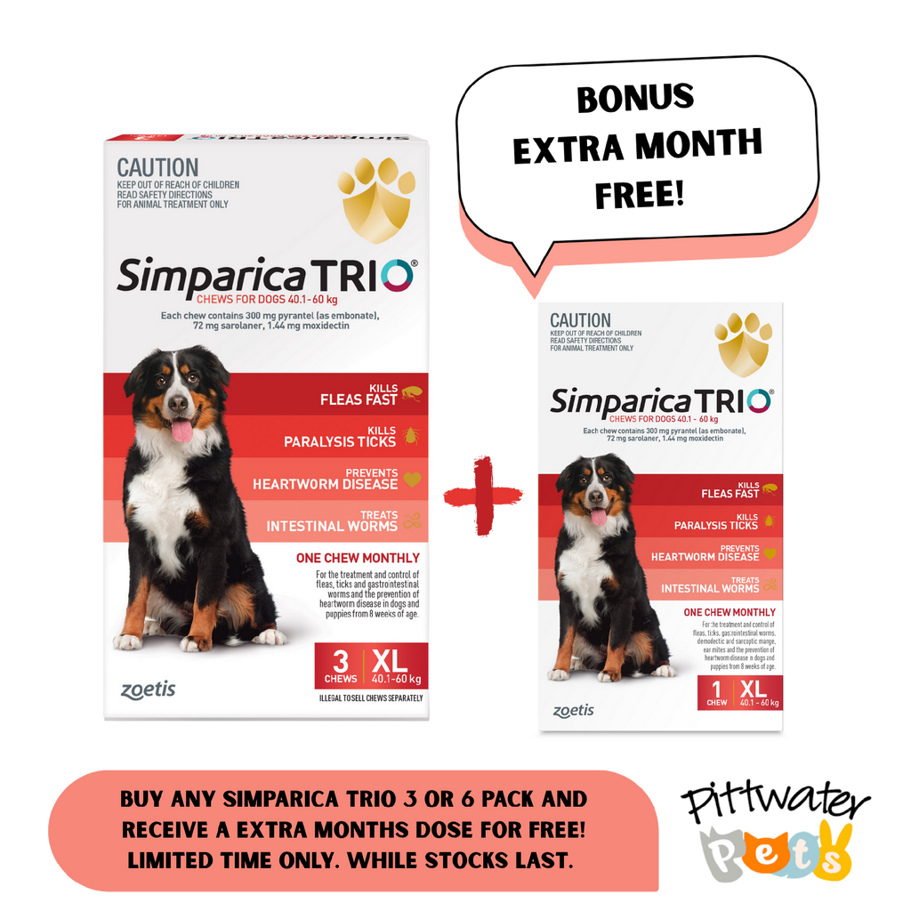 SIMPARICA TRIO 40.1-60KG (RED) [PKS:3]