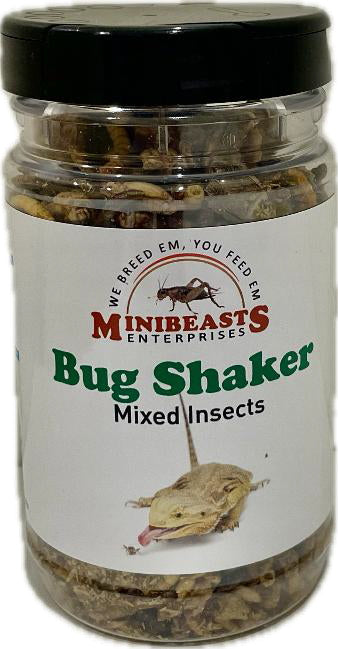 MINIBEASTS MIXED INSECTS BUG SHAKER