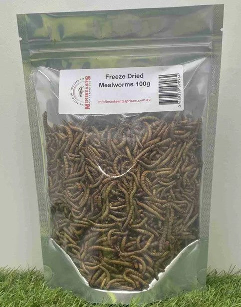 MINIBEASTS FREEZE DRIED MEALWORMS 100G