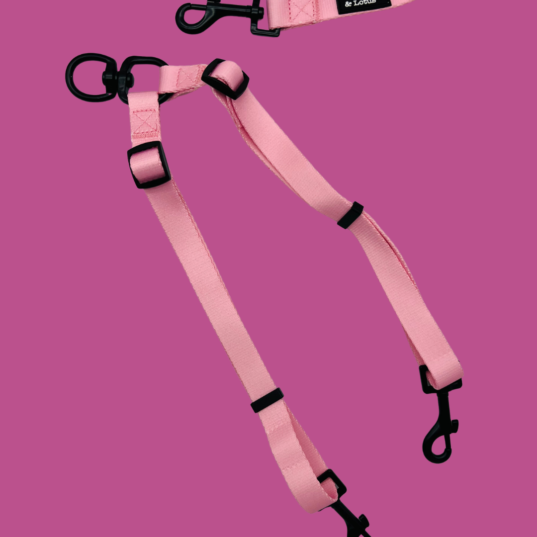 LEAD SPLITTER LOTTIE AND LOTUS FAIRY TAIL PINK – Pittwater Pets