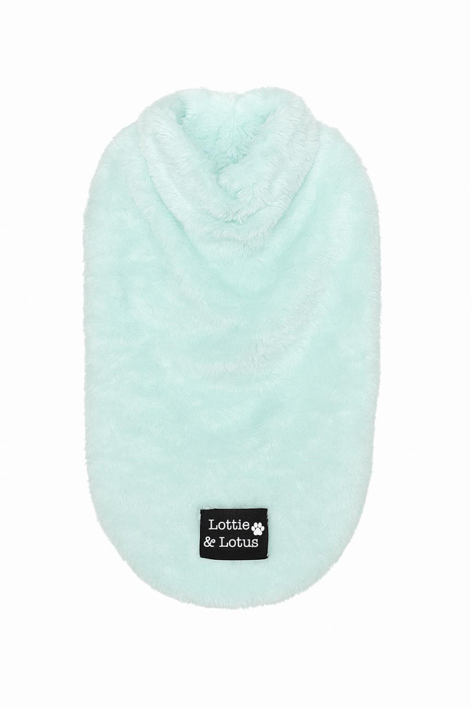LOTTIE AND LOTUS SNUGGLEBUG JUMPER MINT GREEN [LTH:60cm]