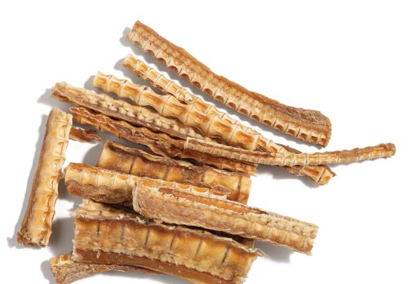 THE PET PROJECT SHARK CARTILAGE 100G