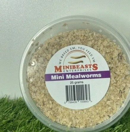 MINIBEASTS MINI MEALWORMS TUB 25G
