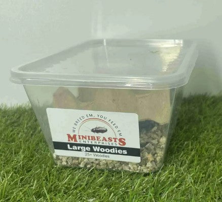 MINIBEASTS WOODIES LARGE TUB