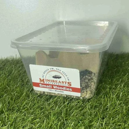 MINIBEASTS WOODIES SMALL TUB