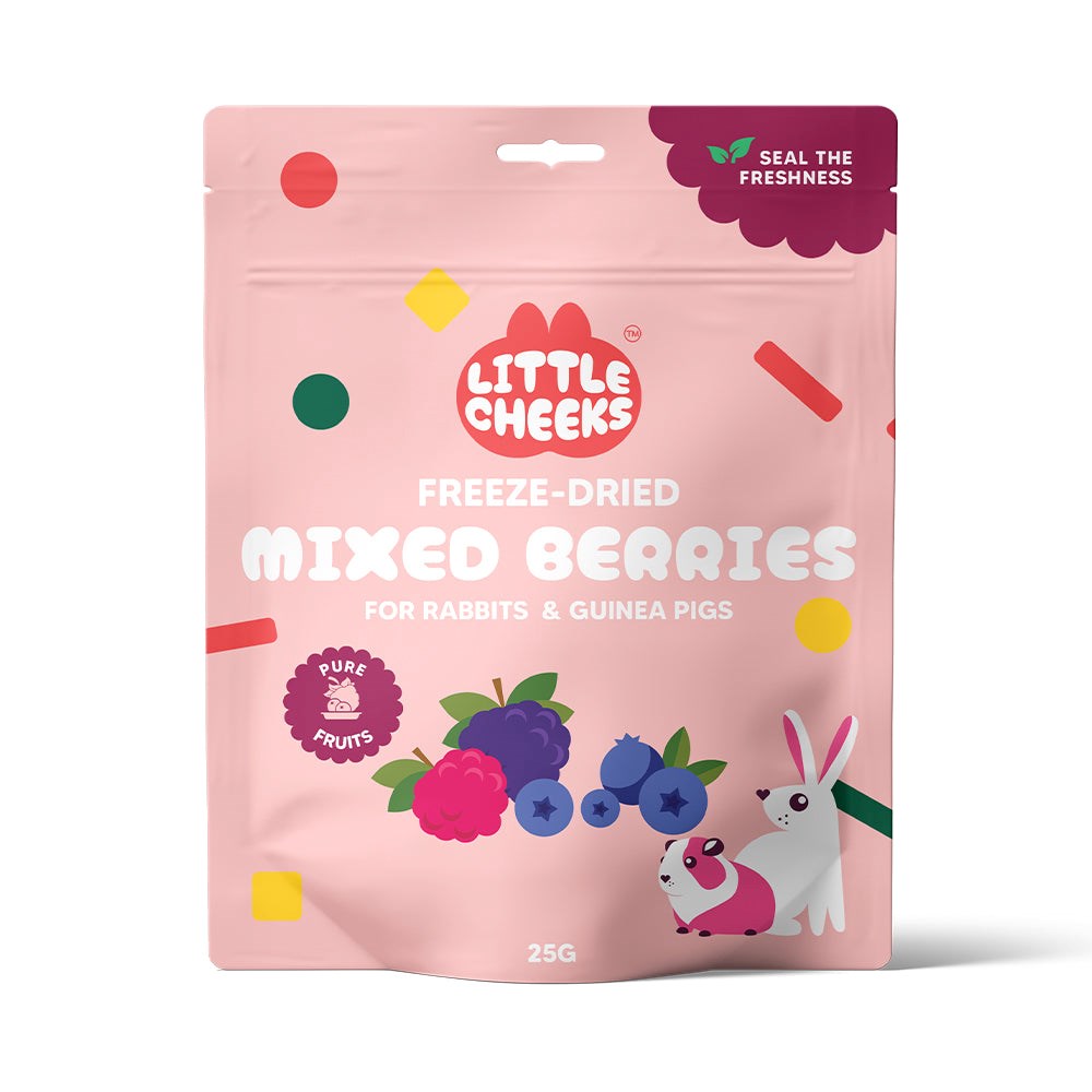 LITTLE CHEEKS FREEZE DRIED MIXED BERRIES TREAT FOR SMALL ANIMALS 25G