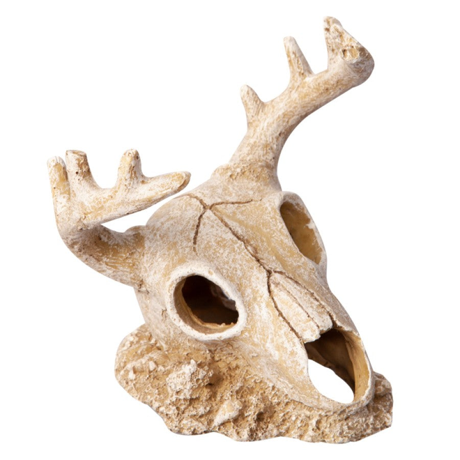 AQUA ONE ORNAMENT DEER SKULL