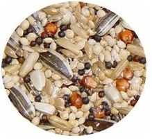 PASSWELL DELIGHT AVIAN - PARROT 75G