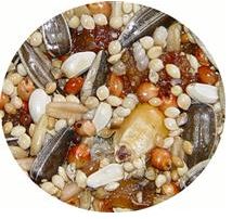 PASSWELL DELIGHT AVIAN - COMBO 75G