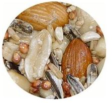 PASSWELL DELIGHT AVIAN - NUTTY 75G