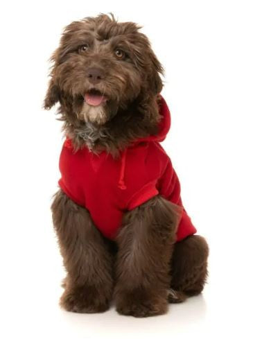 COAT FUZZYARD 2023 ZOOMIES HOODIE RED [SZ:1]