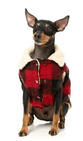 COAT FUZZYARD 2023 THE LUMBERJACK RED [SZ:4]