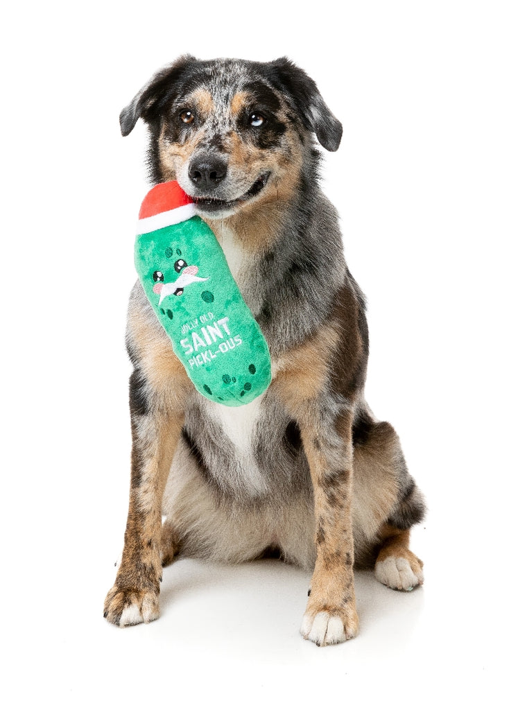 XMAS FUZZYARD JOLLY OLD ST PICKL-OUS DOG TOY