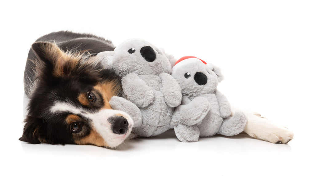 XMAS FUZZYARD COCO KOALA DOG TOY [SZ:LGE]