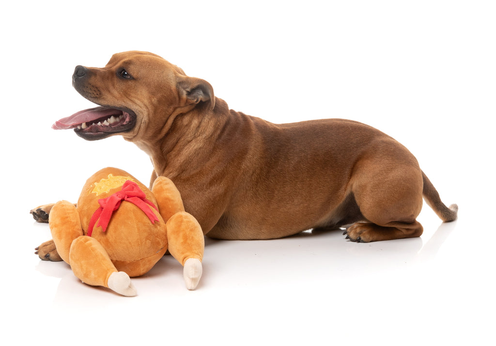 XMAS FUZZYARD LETS GET BASTED DOG TOY [SZ:LGE]
