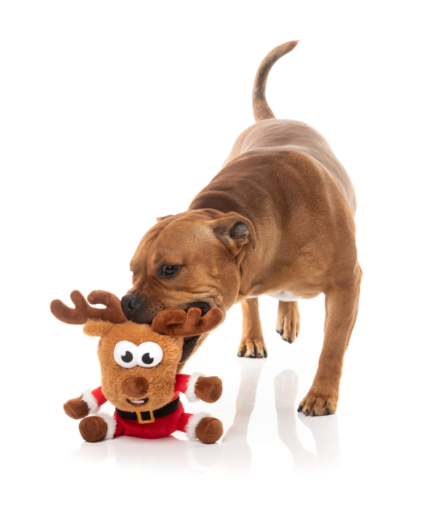 XMAS FUZZYARD REGGIE CLAUS REINDEER DOG TOY LGE