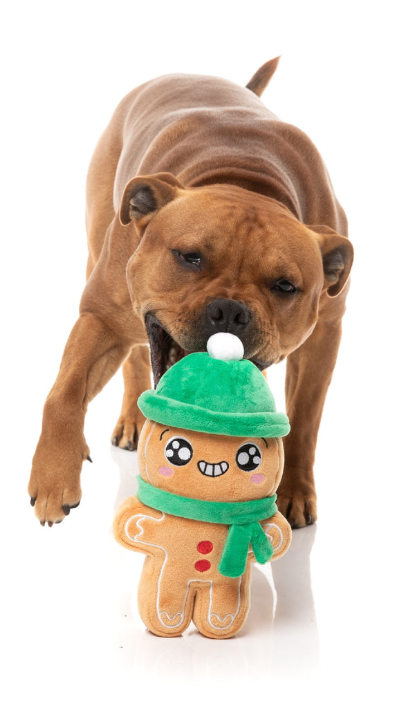 XMAS FUZZYARD HOLLY JOLLY CHILLYBREAD DOG TOY [SZ:LGE]