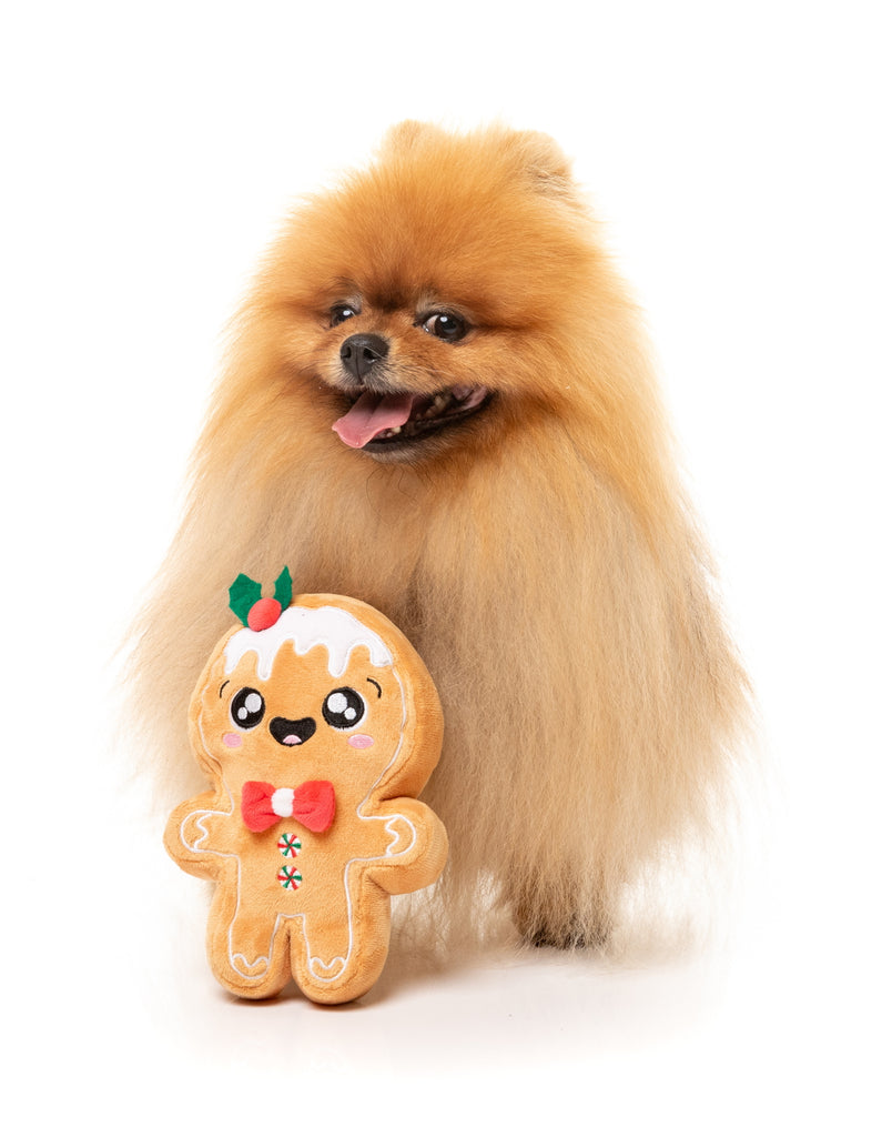 XMAS FUZZYARD MISTLE-DOUGH DOG TOY [SZ:SML]