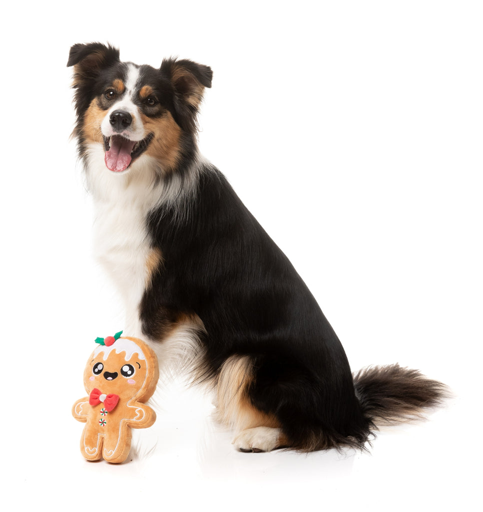XMAS FUZZYARD MISTLE-DOUGH DOG TOY [SZ:LGE]