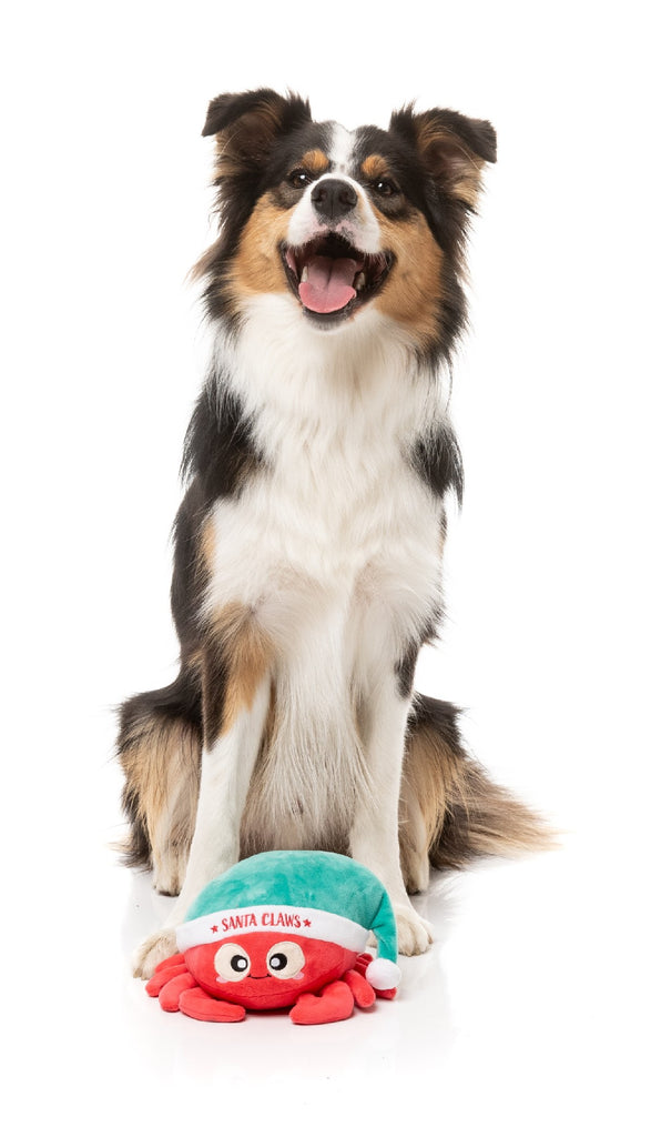 XMAS FUZZYARD SANTA CLAWS DOG TOY SML