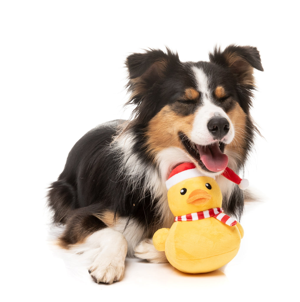 XMAS FUZZYARD FESTIVE WADDLES DOG TOY SML