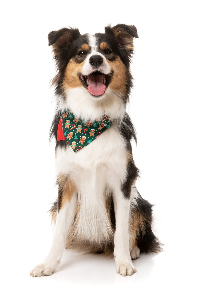 XMAS FUZZYARD BANDANA - JOLLY GINGERBREAD AND CANES [SZ:MED/LGE]
