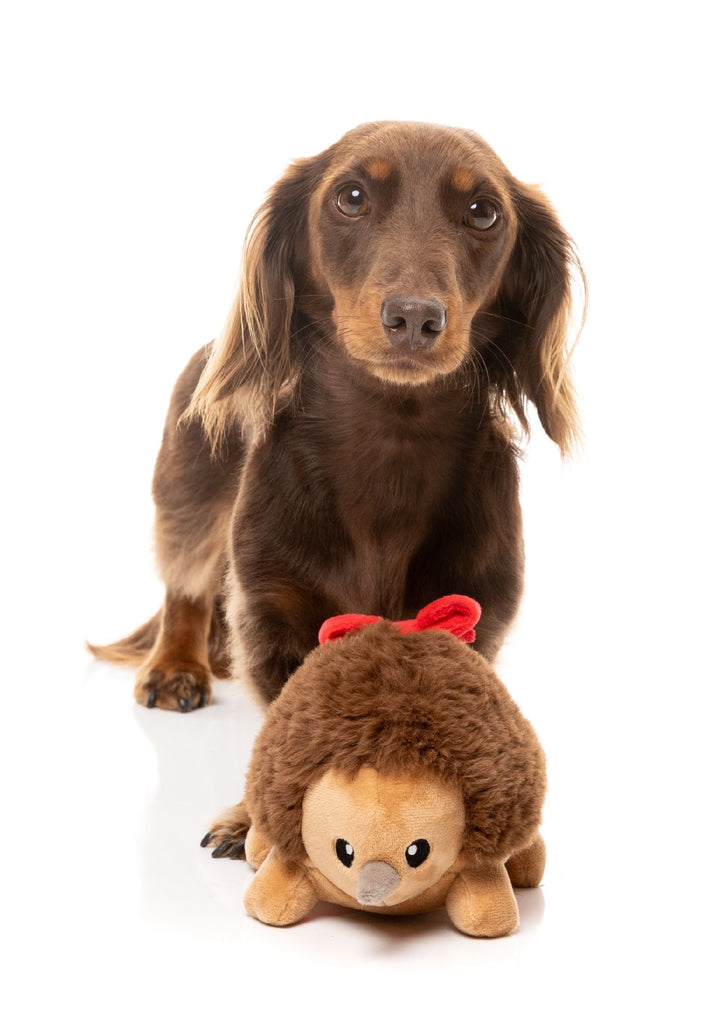 XMAS FUZZYARD ERROL ECHIDNA  DOG TOY