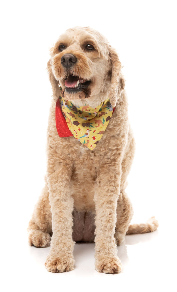 XMAS FUZZYARD BANDANA - OUTBACK WONDERLAND [SZ:SML/MED]