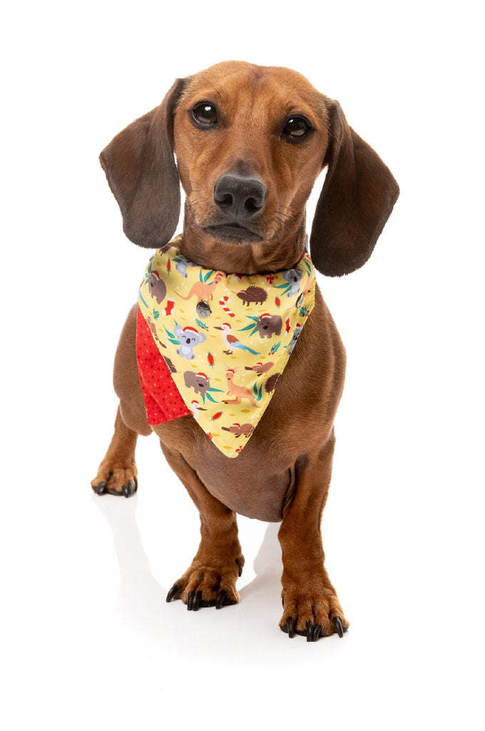 XMAS FUZZYARD BANDANA - OUTBACK WONDERLAND [SZ:MED/LGE]