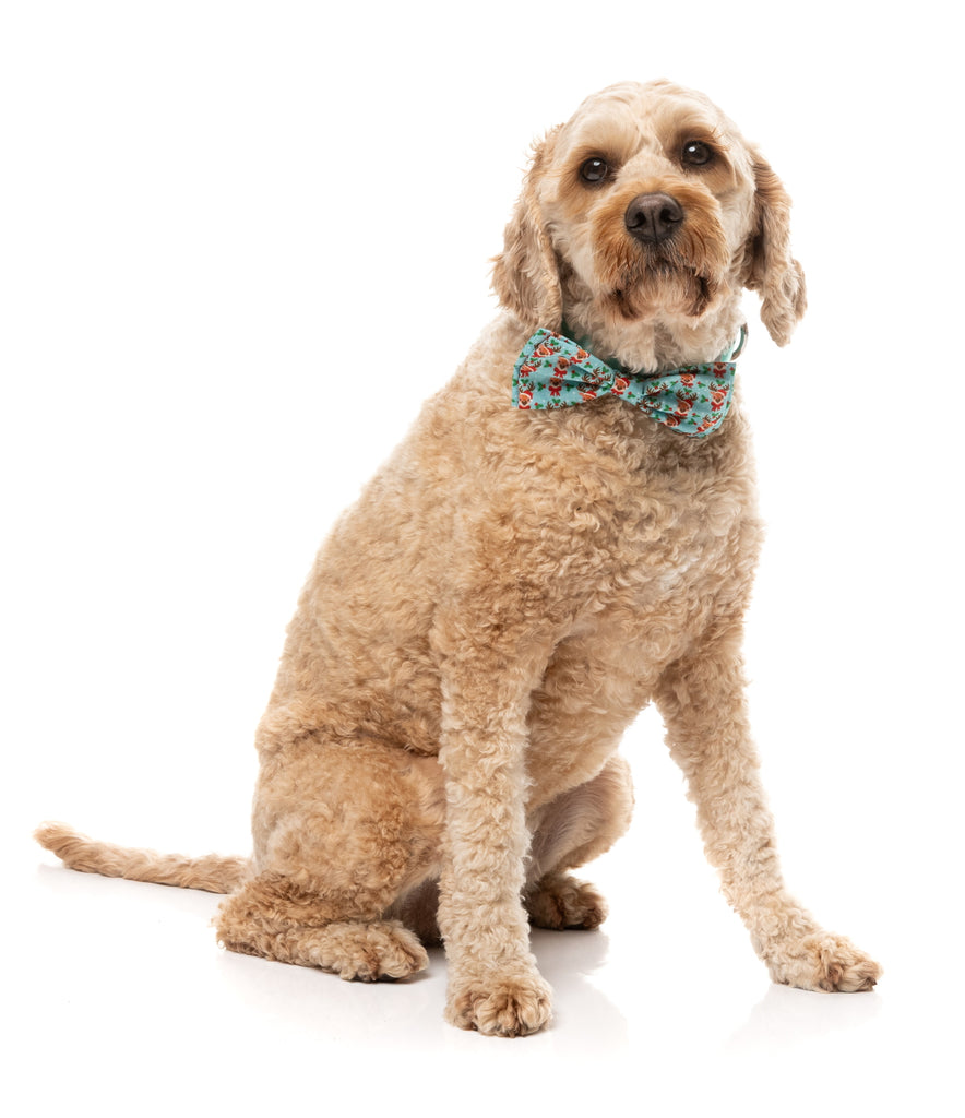 XMAS FUZZYARD BOWTIE - BLITZEN BLIZZARD [SZ:LGE]