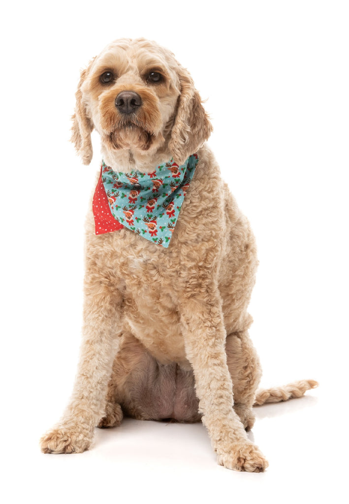 XMAS FUZZYARD BANDANA - BLITZEN BLIZZARD [SZ:SML/MED]