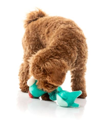 FUZZYARD NECK MINNITS LOCH NECK MONSTER DOG TOY