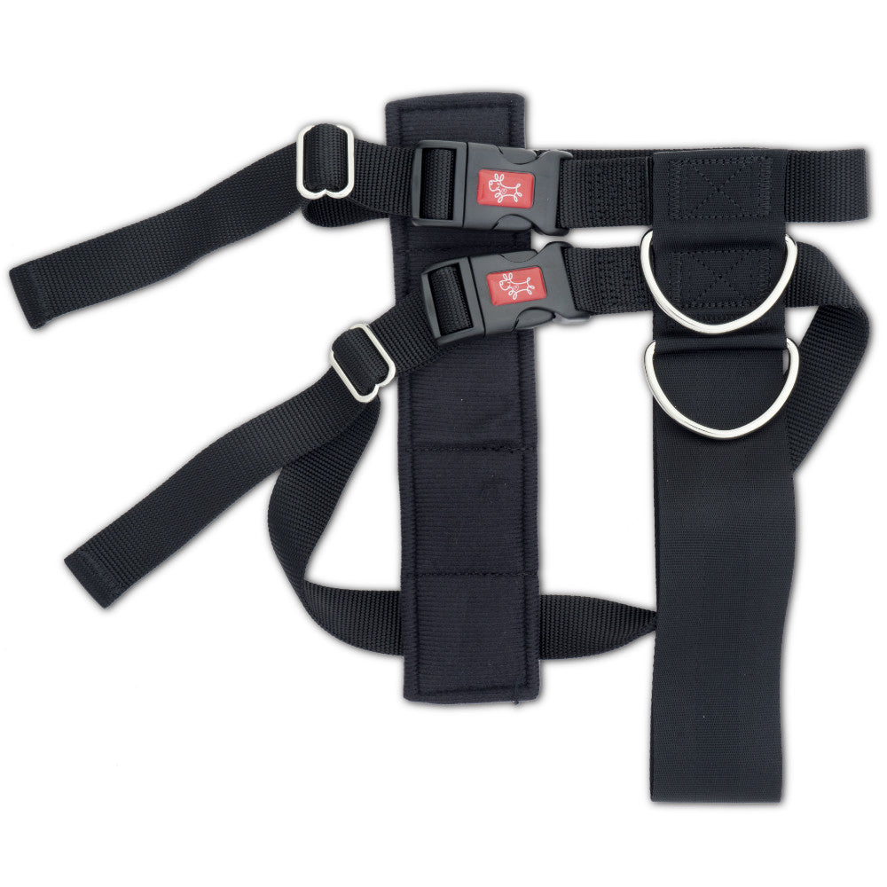 MASTERPET 2 IN 1 CAR SAFE HARNESS [SZ:Large]