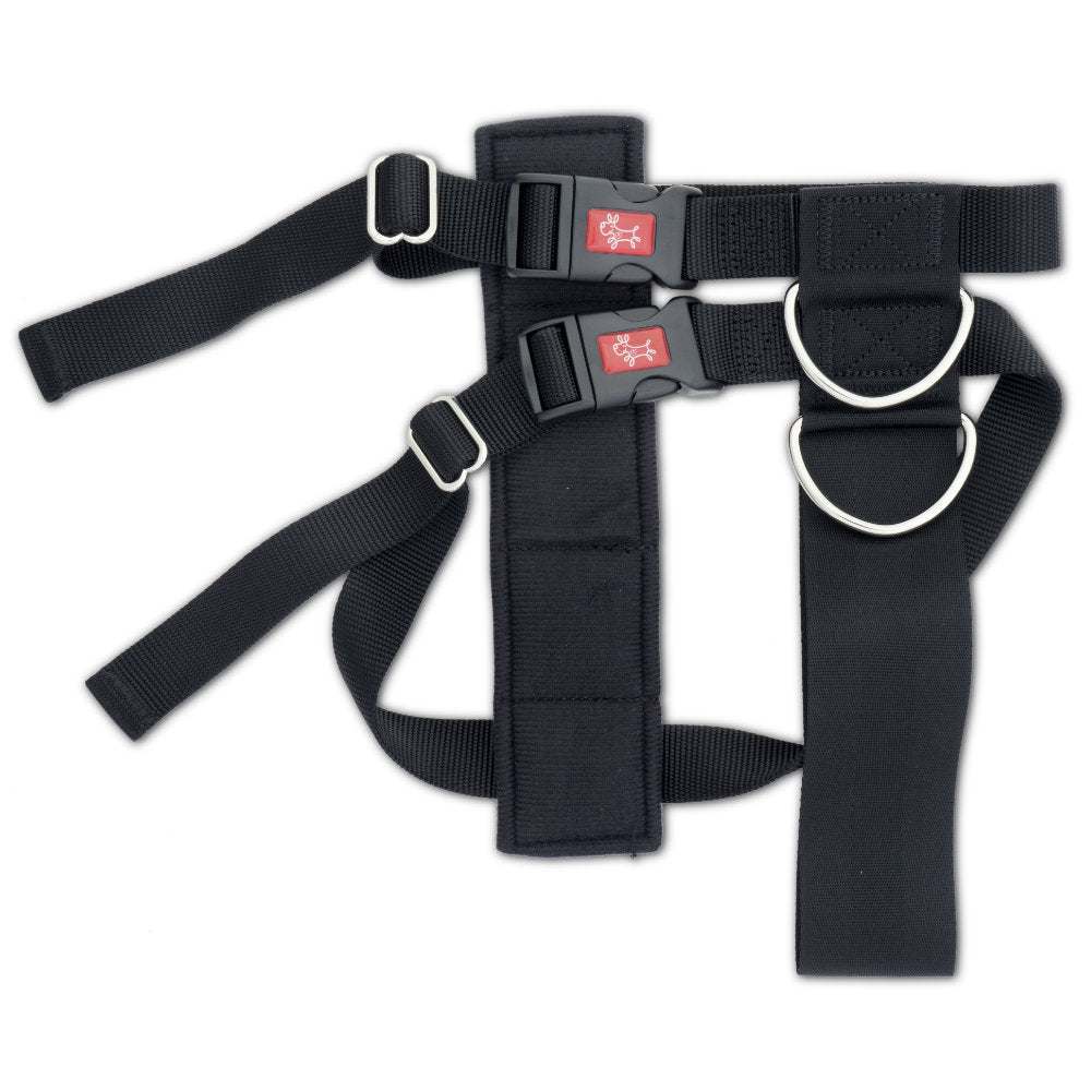 MASTERPET 2 IN 1 CAR SAFE HARNESS [SZ:Giant]